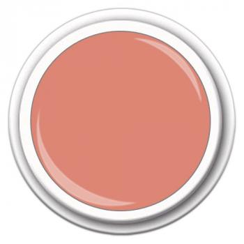 Color* FG-283  Pale Peach  5g